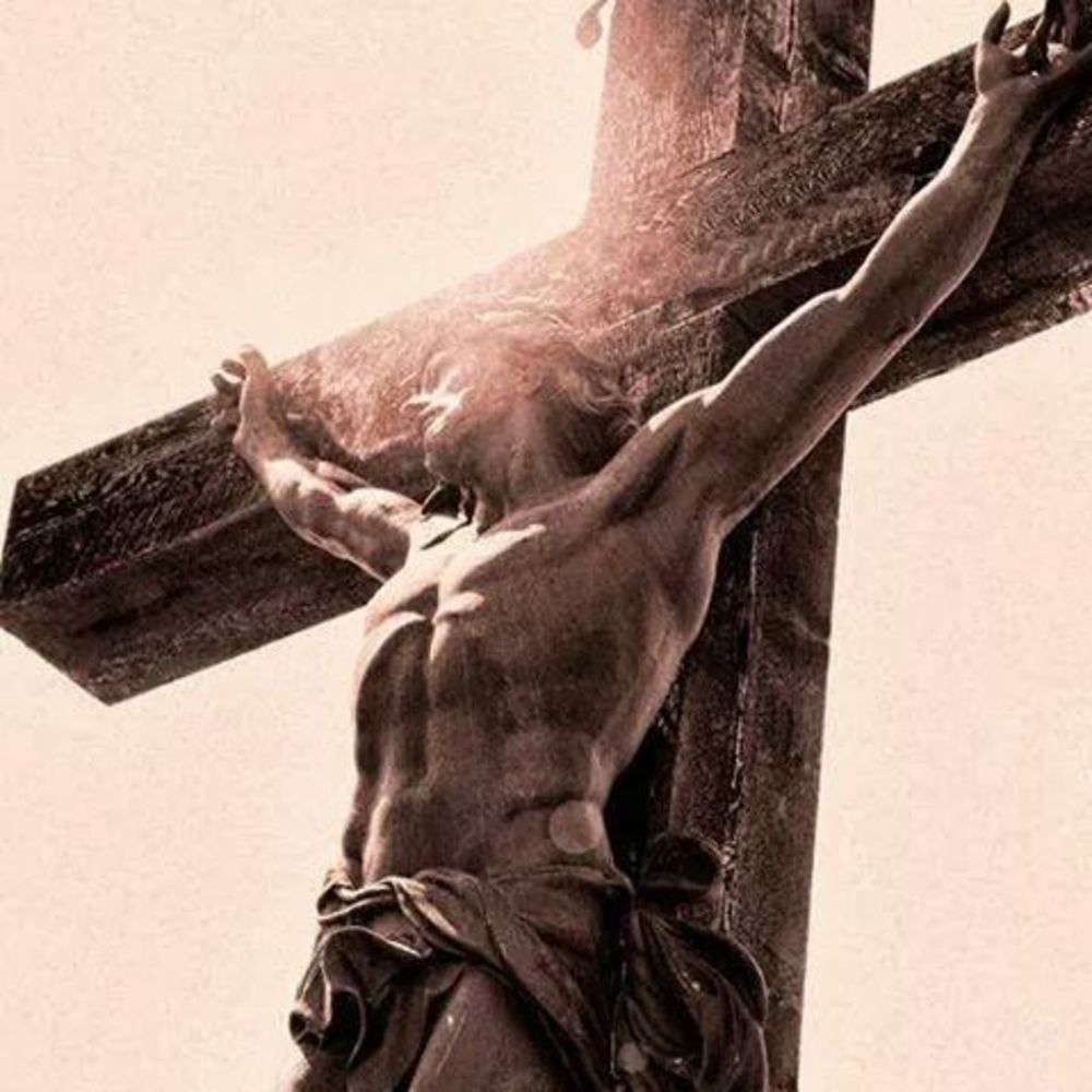 Meet your Posher, Lora